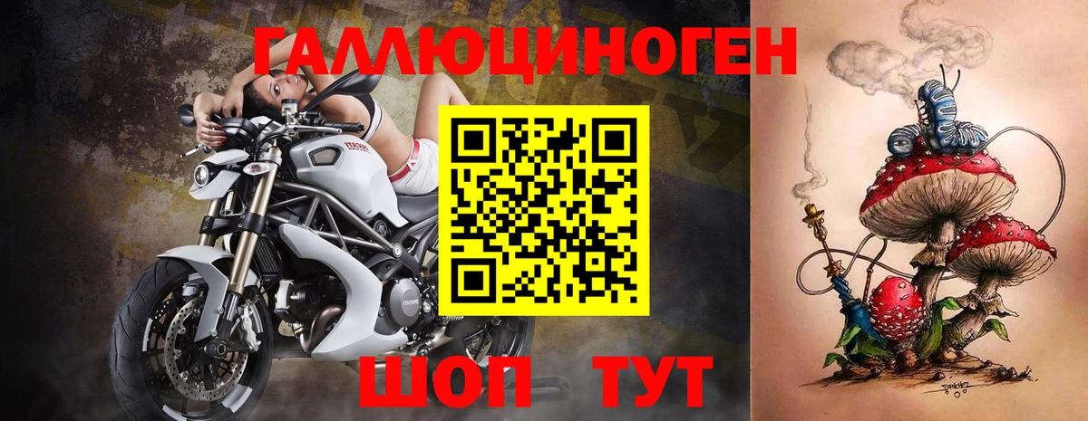 Псилоцибиновые грибы мицелий Тутаев